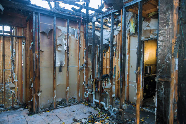 Professional Fire Damage Removal technician working in Coral Hills, MD
